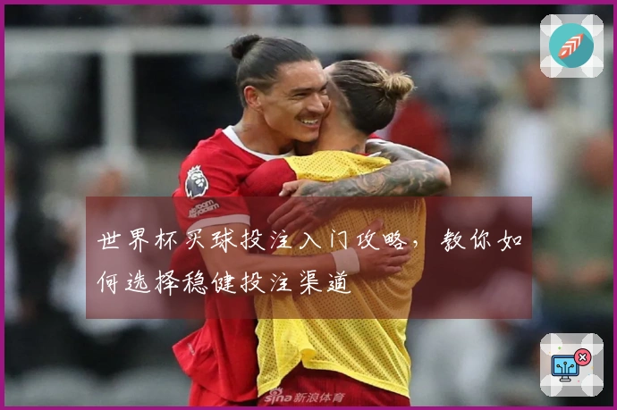 世界杯买球投注入门攻略，教你如何选择稳健投注渠道