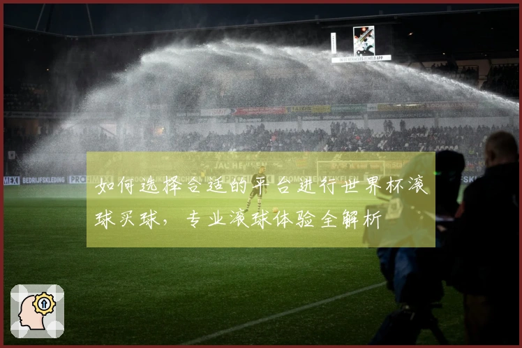 如何选择合适的平台进行世界杯滚球买球，专业滚球体验全解析