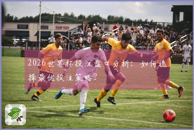2026世界杯投注盘口分析：如何选择最优投注策略？
