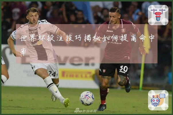 世界杯投注技巧揭秘如何提高命中率