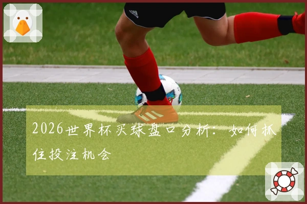 2026世界杯买球盘口分析：如何抓住投注机会