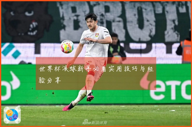 世界杯滚球新手必看实用技巧与经验分享