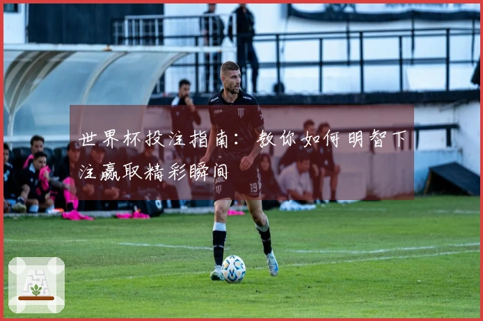 世界杯投注指南：教你如何明智下注赢取精彩瞬间