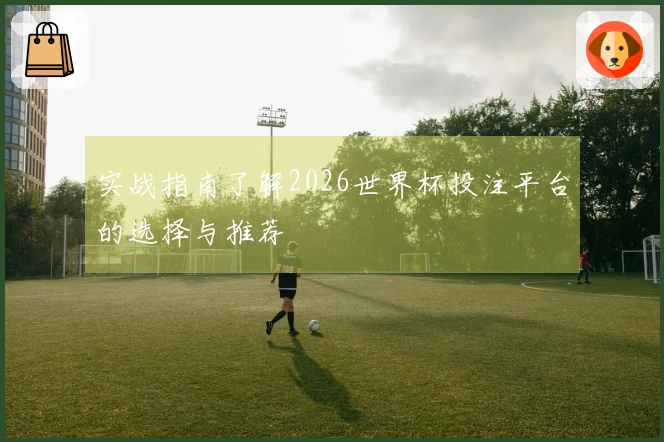实战指南了解2026世界杯投注平台的选择与推荐