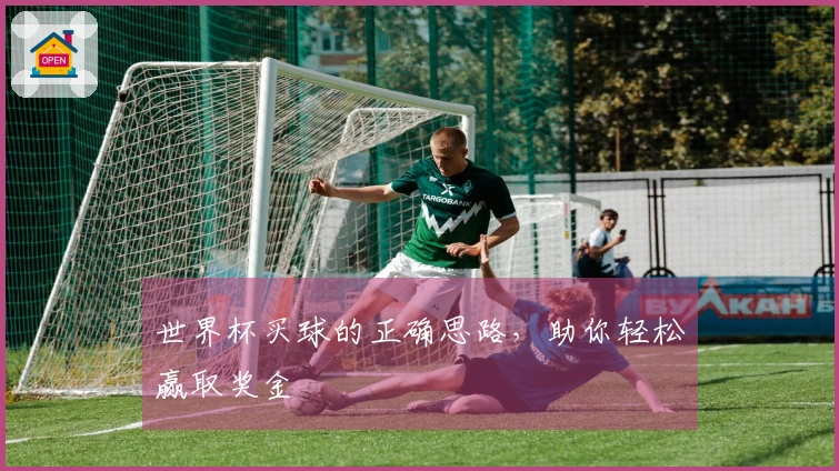 世界杯买球的正确思路，助你轻松赢取奖金