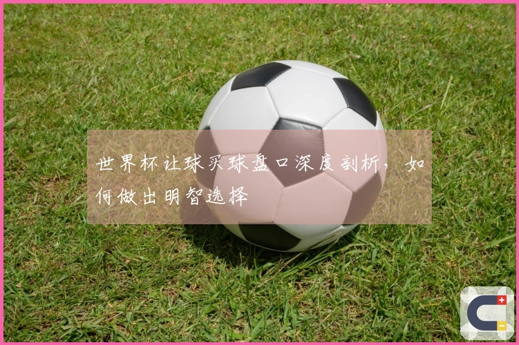 世界杯让球买球盘口深度剖析，如何做出明智选择