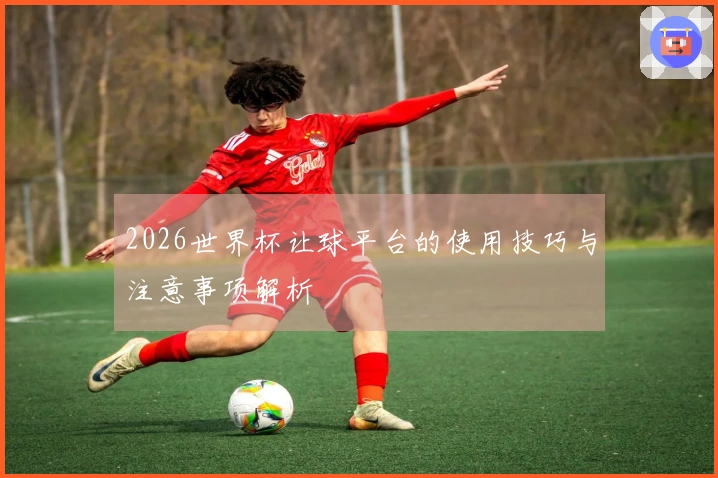 2026世界杯让球平台的使用技巧与注意事项解析
