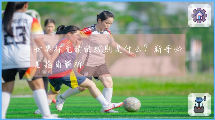 世界杯竞猜的规则是什么？新手必看指南解析