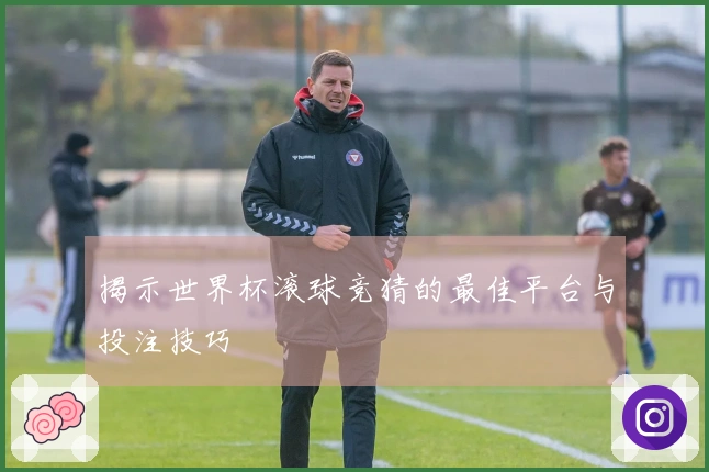 揭示世界杯滚球竞猜的最佳平台与投注技巧