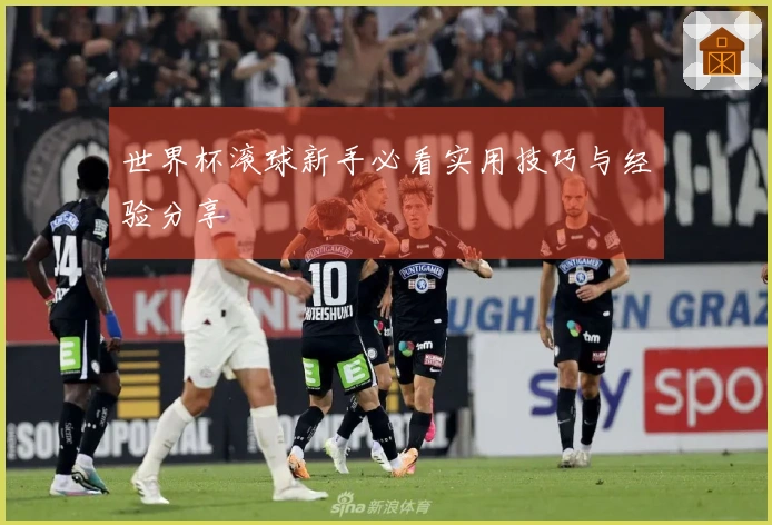 世界杯滚球新手必看实用技巧与经验分享